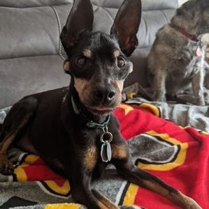 Meet your Posher, Bill